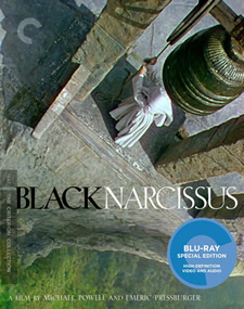 Black Narcissus