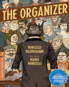 The Organizer