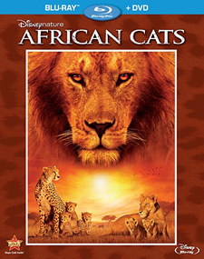 African Cats