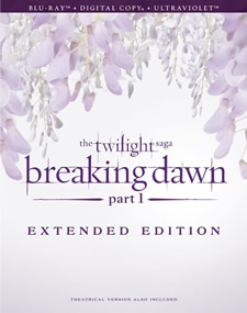 The Twilight Saga: Breaking Dawn - Part 1 Blu-ray